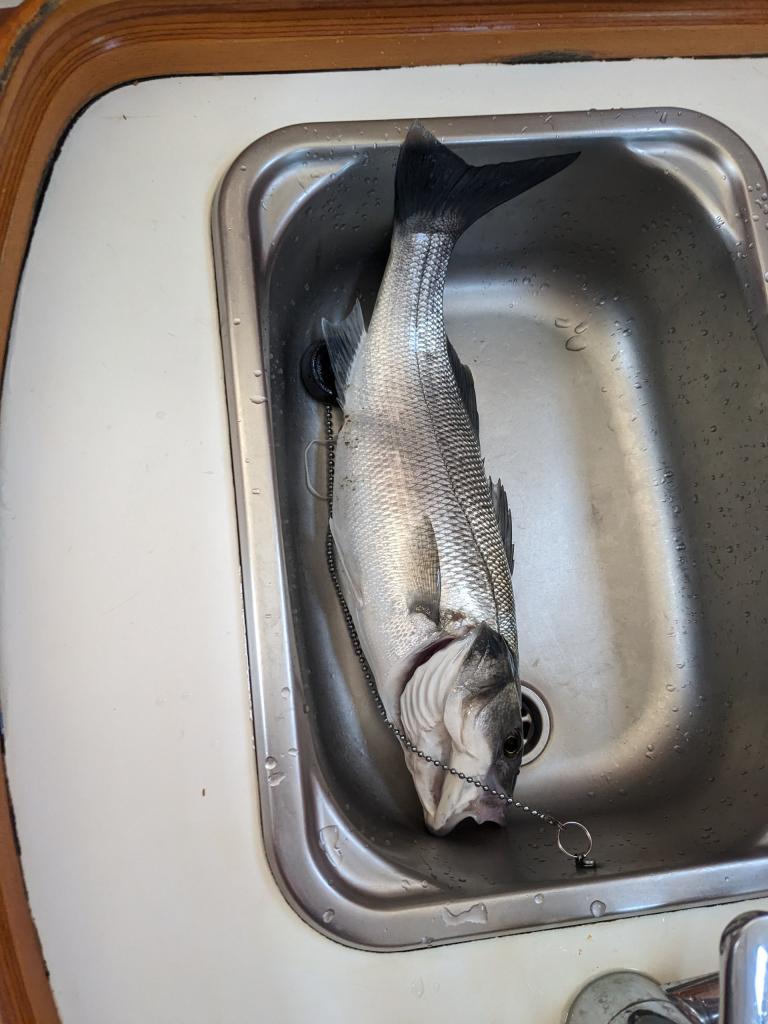 La Trinité - Saint Gilles Croix De Vie