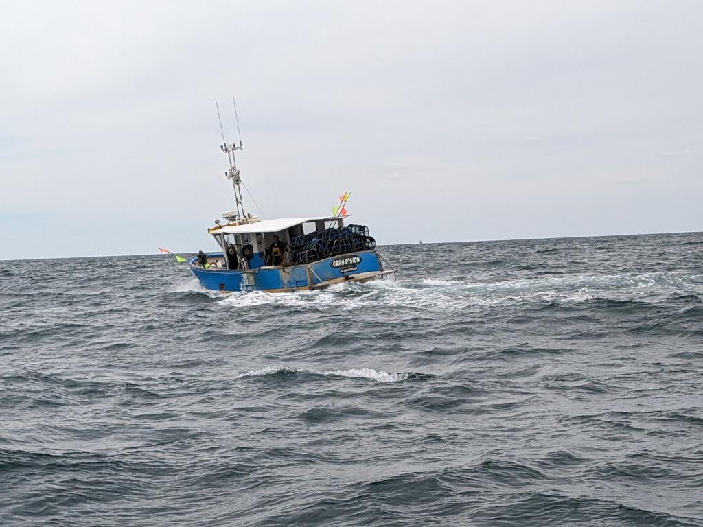 La Trinité - Saint Gilles Croix De Vie